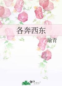 小猫钓鱼游戏龙王版有船